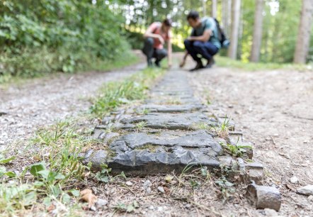 Panzerkette im Hürtgenwald, © Eifel Tourismus GmbH, Anton Röser, Shapefruit AG Panzerkette im Hürtgenwald, © Eifel Tourismus GmbH, Anton Röser, Shapefruit AG