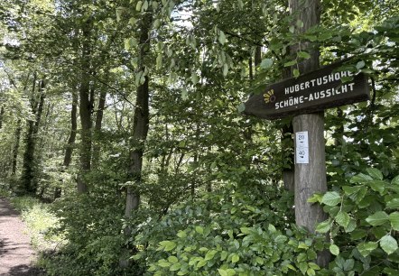Nationalparkrandweg, © Rureifel-Tourismus e.V., Dennis Winands Nationalparkrandweg, © Rureifel-Tourismus e.V., Dennis Winands