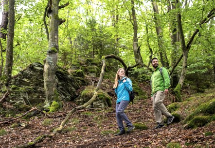 Wanderung in Rohren, © Eifel-Tourismus GmbH, Dominik Ketz Wanderung in Rohren, © Eifel-Tourismus GmbH, Dominik Ketz