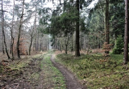 Durch die Wälder Durch die Wälder