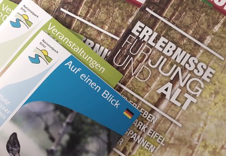 Prospektbestellung Prospektbestellung