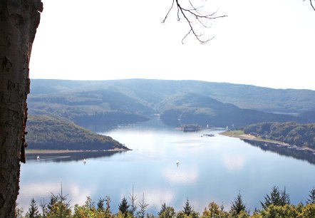 Blick von der Steilküste auf den Rursee Blick von der Steilküste auf den Rursee