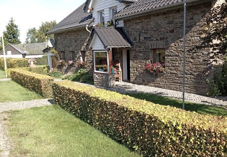 Straßenfront im Sommer Straßenfront im Sommer