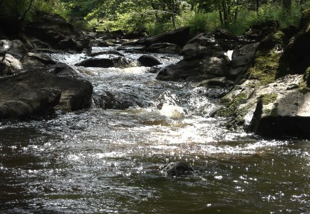 Rur bei Monschau, © Monschau-Touristik Rur bei Monschau, © Monschau-Touristik