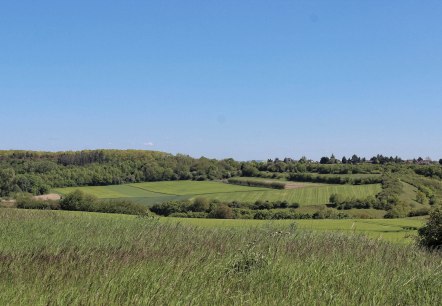 Wandern durch die Bördelandschaft Wandern durch die Bördelandschaft