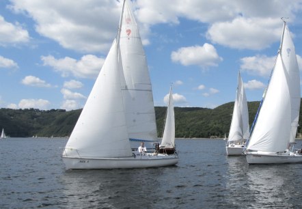 Ein idyllisches Bild: Segelboote auf dem Rursee, © Wassersport Becker Ein idyllisches Bild: Segelboote auf dem Rursee, © Wassersport Becker
