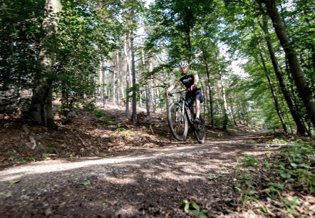 Mountainbiker unterwegs auf dem Routennetz, © someoner.de Mountainbiker unterwegs auf dem Routennetz, © someoner.de