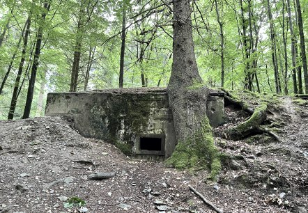 Bunker, © Monschauer Land Touristik e.V. Bunker, © Monschauer Land Touristik e.V.