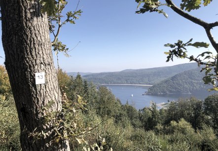 Aussicht auf den Rursee, © Rursee-Touristik GmbH, Conni Schink Aussicht auf den Rursee, © Rursee-Touristik GmbH, Conni Schink