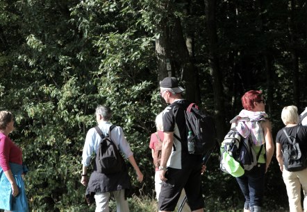 Wandergruppe Wandergruppe