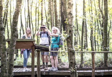 Wanderhinweise, © Dennis Stratmann, Kreis Düren Wanderhinweise, © Dennis Stratmann, Kreis Düren