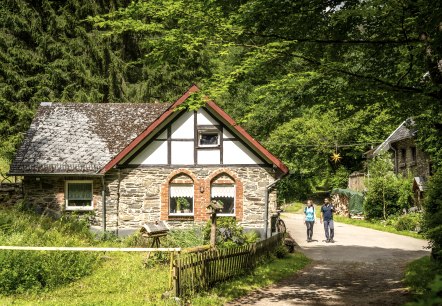 Ölmühle im Tiefenbachtal, © Eifel Tourismus GmbH, Dominik Ketz Ölmühle im Tiefenbachtal, © Eifel Tourismus GmbH, Dominik Ketz