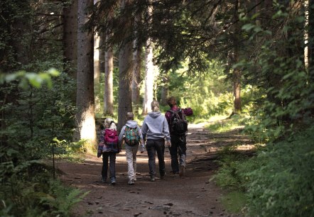 Familie im Wald, © eifel-tourismus-gmbh_tobias-vollmer Familie im Wald, © eifel-tourismus-gmbh_tobias-vollmer
