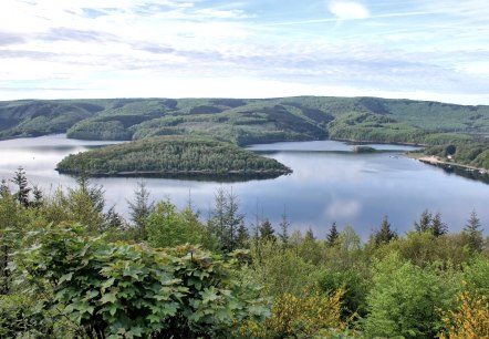 Blick auf Nationalpark, © NLPForstamtMartinWeisgerber Blick auf Nationalpark, © NLPForstamtMartinWeisgerber