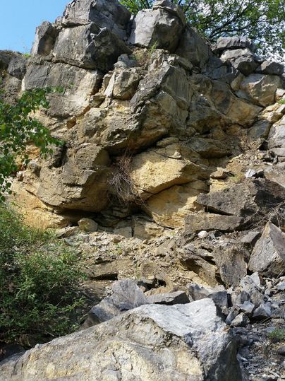 Ein steiler Felsen mit unregelmäßigen Steinformationen. Umgeben von grasbewachsenen Stellen und etwas Buschwerk.