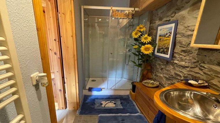 Een moderne badkamer met een douchecabine en mooie houten panelen. De ruimte is helder en versierd met een bloemenarrangement.
