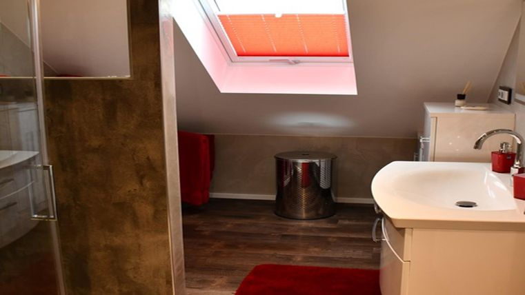 Une salle de bain moderne avec une fenêtre sous le toit. Il y a une cabine de douche, un lavabo et un tapis rouge.