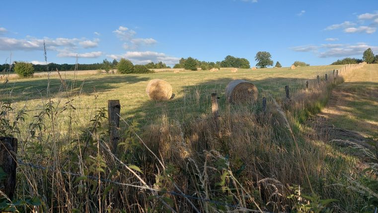 Eine ruhige Landschaft mit grünen Wiesen und einigen Heuballen. Im Hintergrund sind Bäume und ein blauer Himmel mit einigen Wolken zu sehen.
