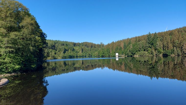 Ein ruhiger See umgeben von grünen Bäumen und Hügeln. Der klare blaue Himmel spiegelt sich im Wasser.