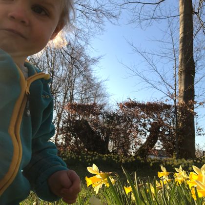 Ein kleines Kind spielt in einem schönen Garten voller gelber Narzissen. Im Hintergrund sind Bäume und ein klarer Himmel zu sehen.