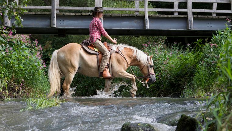 Une personne monte un cheval clair à travers une petite rivière. En arrière-plan, un pont en bois et beaucoup de nature verte sont visibles.