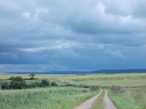 A rural scene with a gravel path leading through green meadows. The sky is cloudy and adds to a dramatic atmosphere.