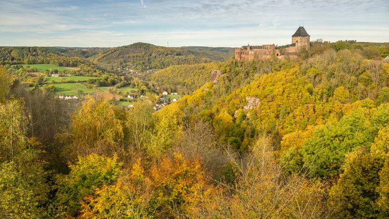 Auf dem Bild ist im Hintergrund die Burg Nideggen zu sehen, die von einem dichten Wald umgeben ist