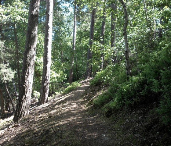 Wanderung in der Natur, © Eifel heimisch