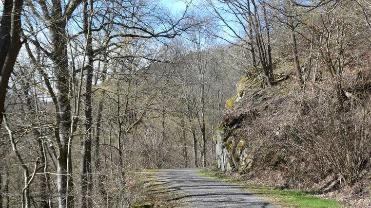Ein schmaler Kiesweg verläuft zwischen kahlen Bäumen und felsigen Hängen. Der Himmel ist klar und blau, was eine ruhige Atmosphäre schafft.