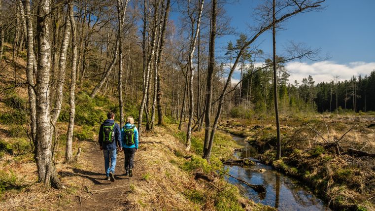 Zwei Wanderer gehen auf einem Pfad durch einen Wald, umgeben von Bäumen und einer kleinen Strecke Wasser. Der Himmel ist klar und die Landschaft wirkt friedlich.