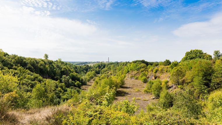 Een groene landschap met zachte heuvels en talloze bomen. De lucht is gedeeltelijk bewolkt en de sfeer lijkt rustig en vredig.