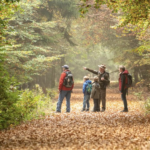 Out and about in the Kermeter with the ranger, © Nationalpark Eifel, Dominik Ketz