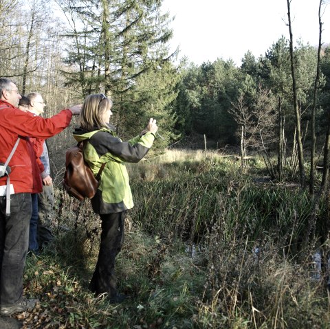 Kijk uit voor de bever, © Rureifel-Tourismus e.V._Giesen