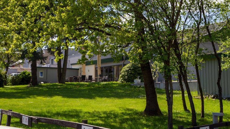 Eine grüne Wiese mit großen Bäumen und einem Gebäude im Hintergrund. Die Szenerie ist hell und einladend, ideal für entspannende Momente im Freien.