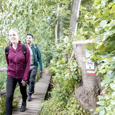 ET-2022-055-Muetzenich-Laufenbachtal-Eifel_Tourismus_GmbH_A-Roeser-shapefruit-AG, © Eifel-Tourismus GmbH, A. Röser shapefruit AG
