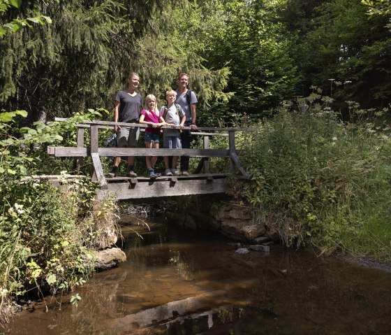 Pont sur le Kaiser Karl Weg, © Eifel Tourismus GmbH_Tobias Vollmer
