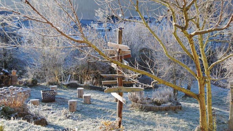 Ein frostiger Garten mit gefrorenen Pflanzen und einem klaren Himmel. In der Mitte stehen Holzlatten und eine Wetterfahne.