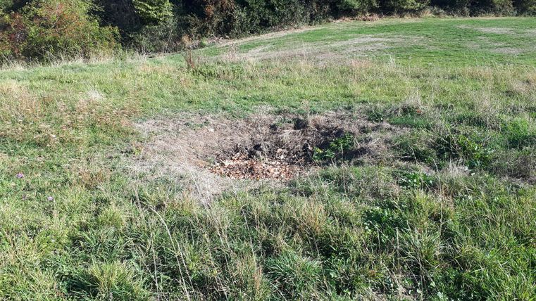 Ein leeres Grundstück mit hohem Gras und einigen trockenen Blättern. Im Hintergrund sind Bäume zu sehen.
