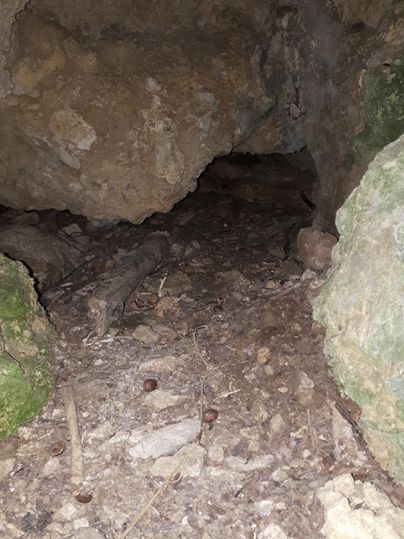 Ein dunkler Höhlenraum mit großen Felsen und unebenem Boden. Einige Pflanzenreste und kleine Steine sind sichtbar.