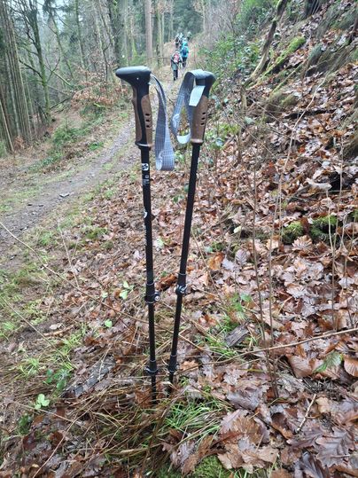 Wanderstöcke stehen auf einem Waldweg umgeben von Laub. Im Hintergrund sind unscharfe Personen beim Wandern zu sehen.