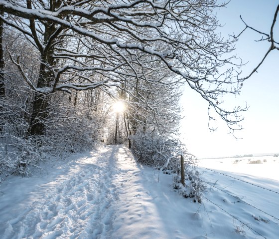 Winter hiking trail Eifel, © Eifel Tourismus GmbH, D, Ketz