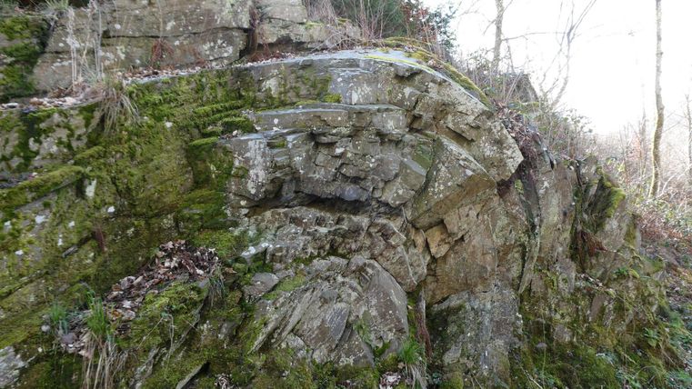 Ein großer, moosbedeckter Felsen in einem Waldgebiet. Die Umgebung ist von trockenen Blättern und kahlen Bäumen geprägt.