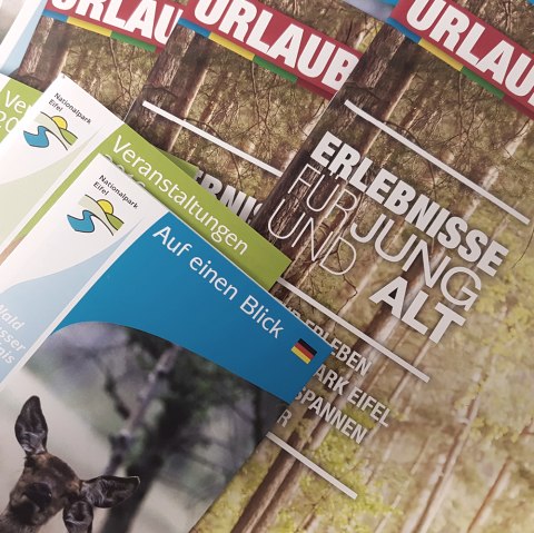Prospektbestellung