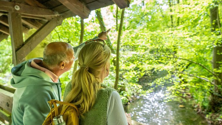 Un couple se tient sous un avant-toit en bois et regarde dans une forêt verte. À l'arrière-plan, un petit ruisseau coule.