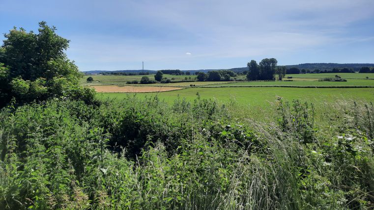 Un paysage vert avec des champs et des arbres sous un ciel clair. À l'arrière-plan, on peut voir des collines douces.