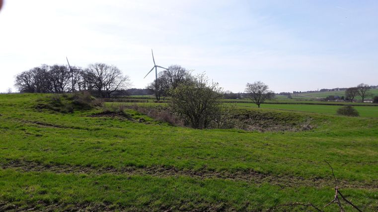 Un paysage paisible composé de prairies verdoyantes et d'arbres épars. À l'arrière-plan, on aperçoit des éoliennes et un ciel dégagé.