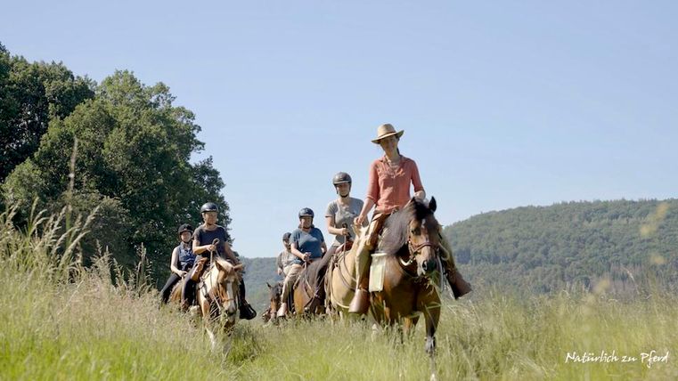 Un groupe de cavaliers en route dans un champ de verdure. Le soleil brille et le paysage est pittoresque.