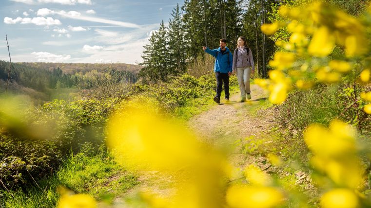 Deux personnes randonnent sur un chemin pittoresque entouré d'arbres verts et de fleurs jaunes. Le soleil brille et le ciel est bleu avec quelques nuages.