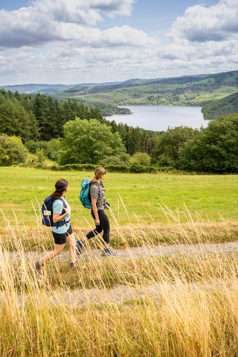 Zwei Frauen wandern auf einem Feldweg durch eine offene Landschaft mit hohen Gräsern. Im Hintergrund sieht man Wälder und den Rursee inmitten grüner Hügel.