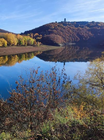 Ein ruhiger See mit klarer Reflexion und buntem, herbstlichem Ufer. Im Hintergrund erhebt sich ein Hügel mit Aussichtsturm.